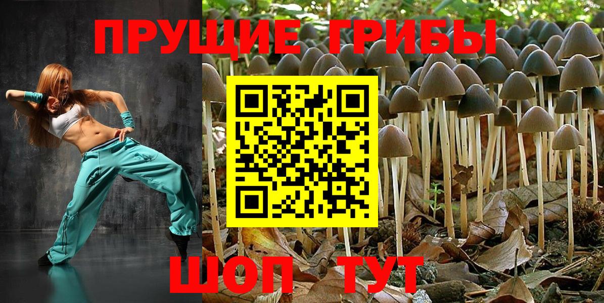 Галлюциногенные грибы Psilocybine cubensis Донецк