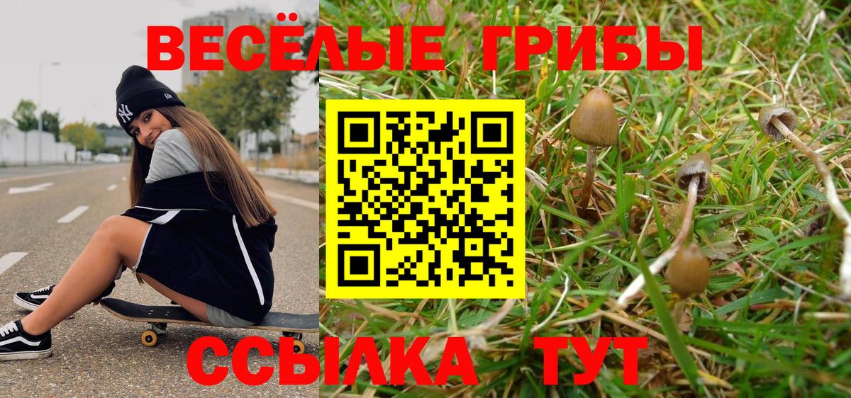 Псилоцибиновые грибы Magic Shrooms Донецк